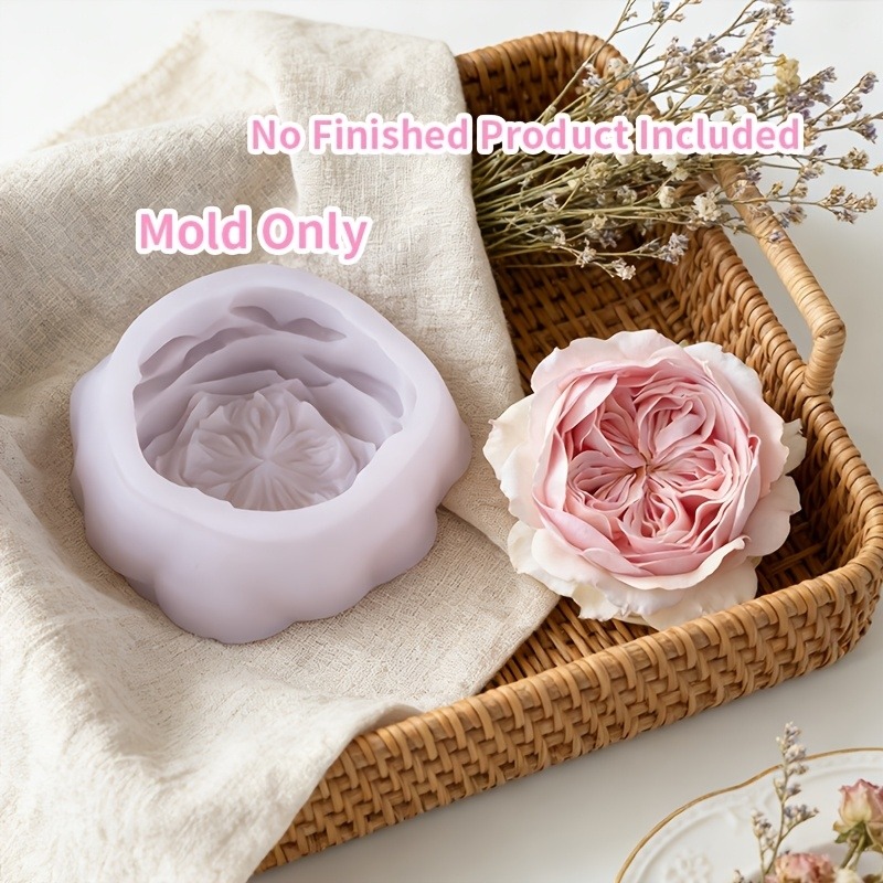 1 Stück sanfte rosa Austin-Ros – Candle Making Austin Bewertung und Preis
