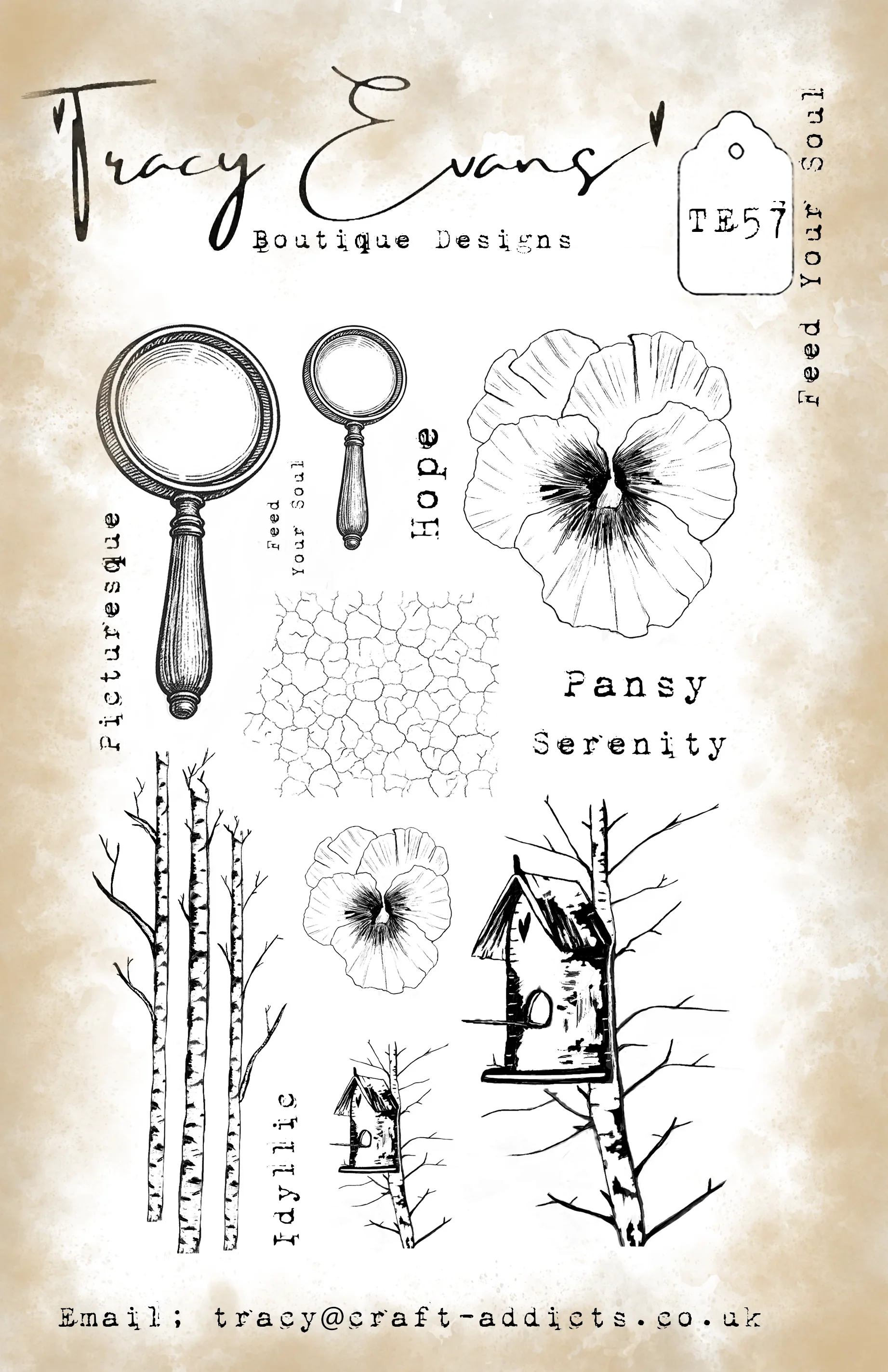 Die Schönheit einer Blume Meta – Candle Making Books For Beginners Bewertung und Preis